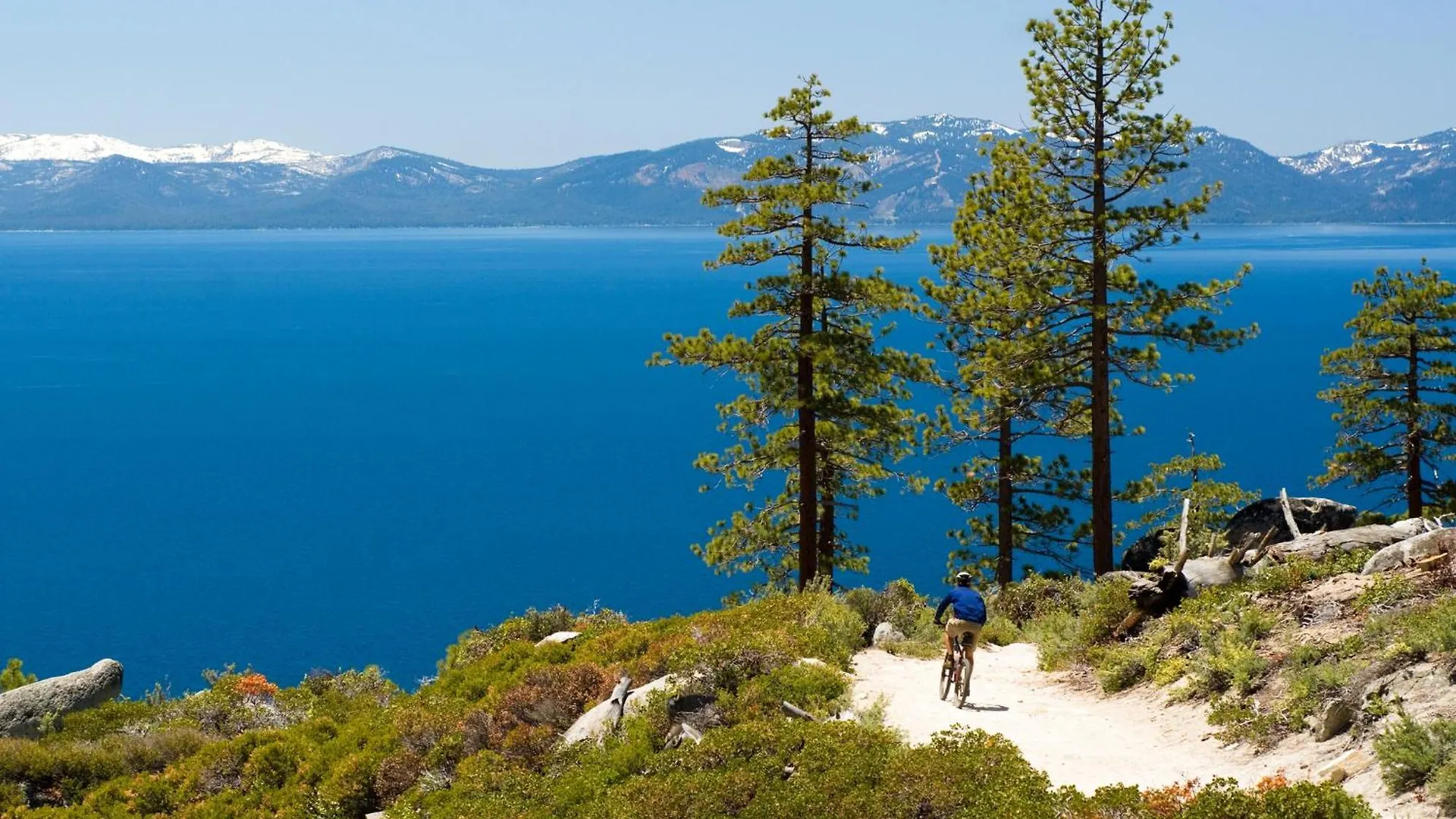 Lakeland Village 495 - Stellers Jay'S Nest Hot Tubs Beach South Lake Tahoe 0*,